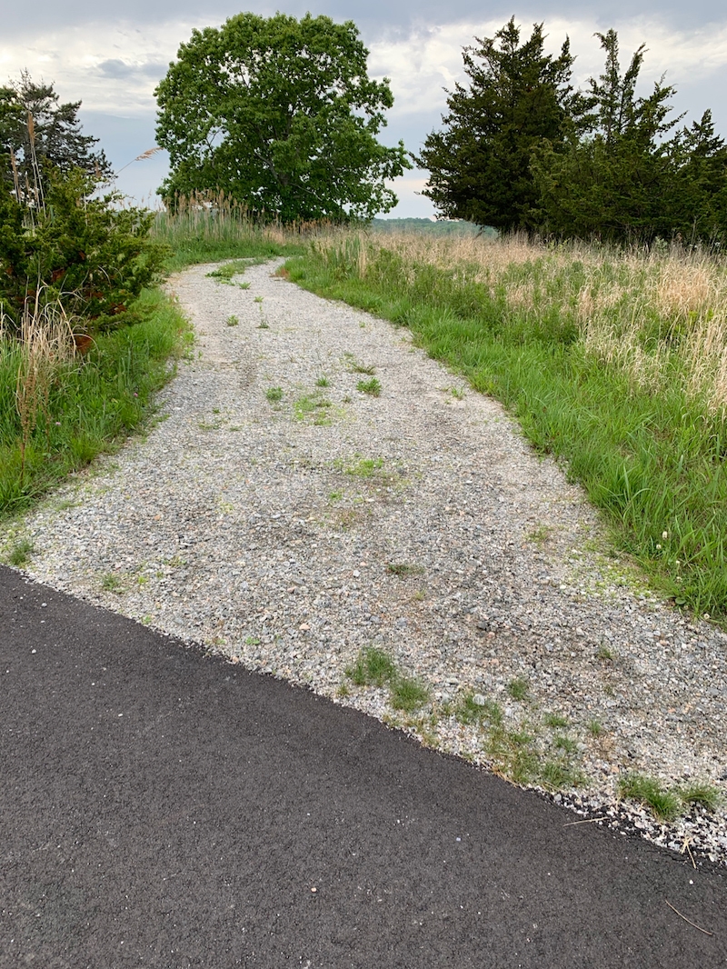 driveway on wetlands