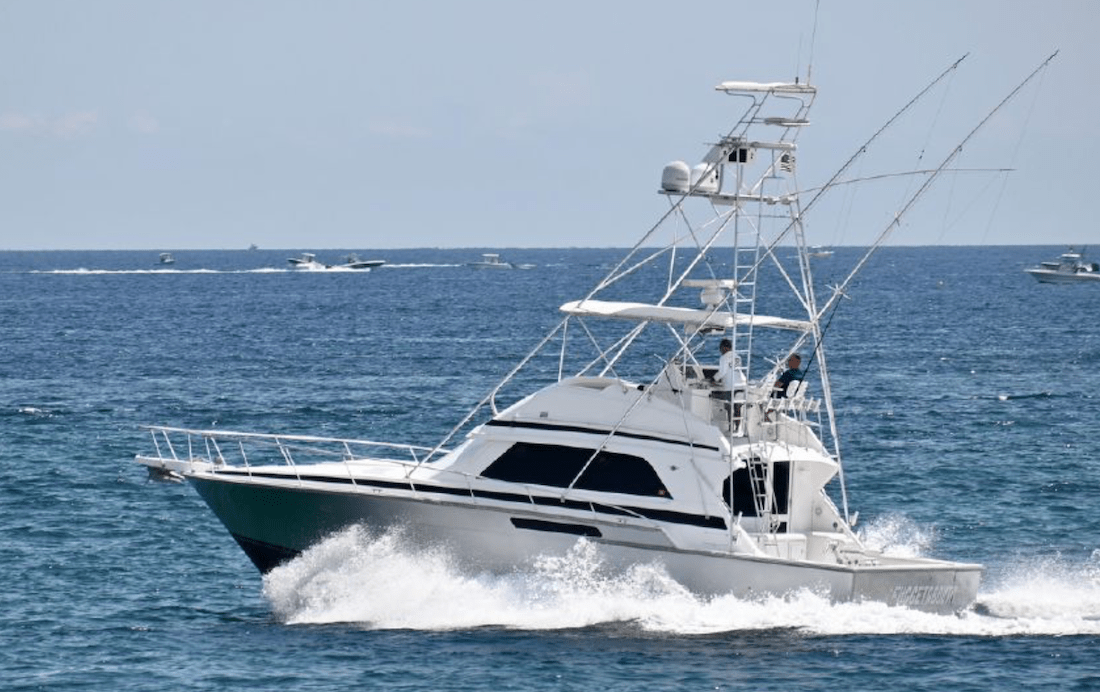 huge capacity dock proposed on Mystic CT